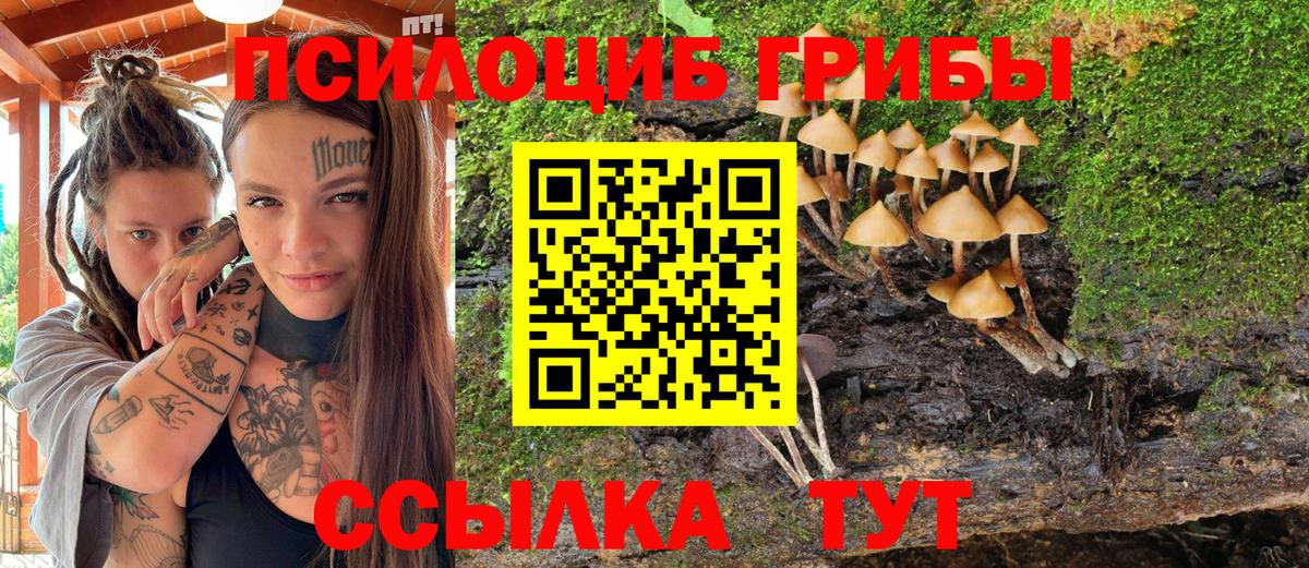 Галлюциногенные грибы Cubensis Армавир