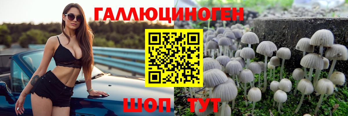 Галлюциногенные грибы MAGIC MUSHROOMS  Галлюциногенные грибы Psilocybe  Армавир  Вход с VPN 